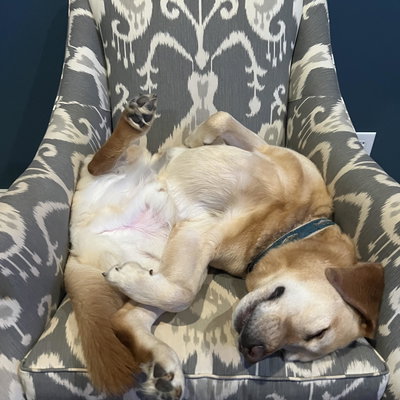 Whipper profile picture