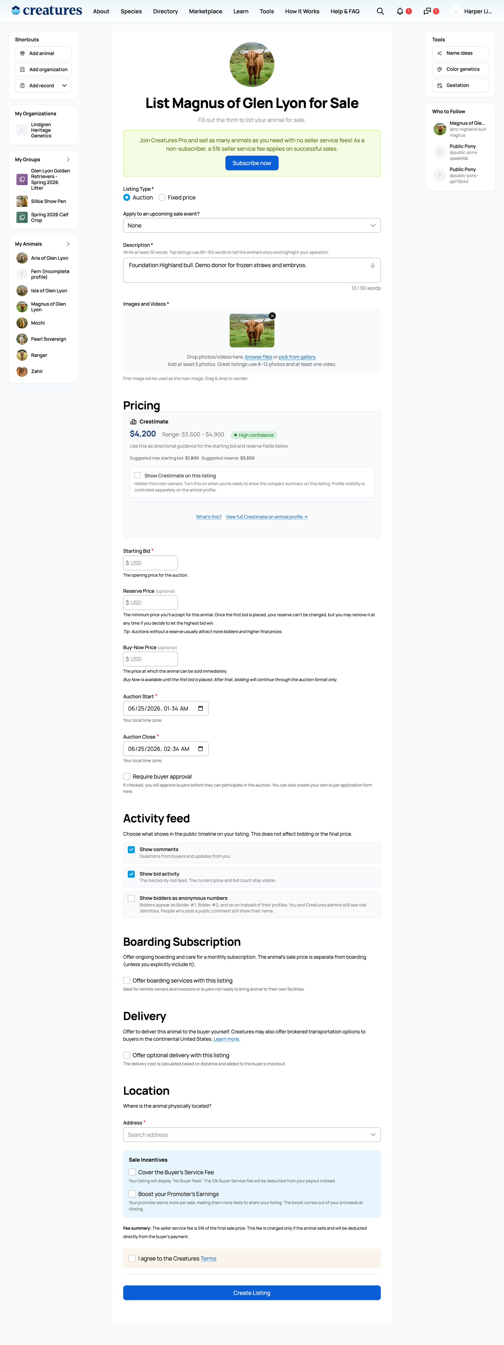 The auction create form's Activity feed controls