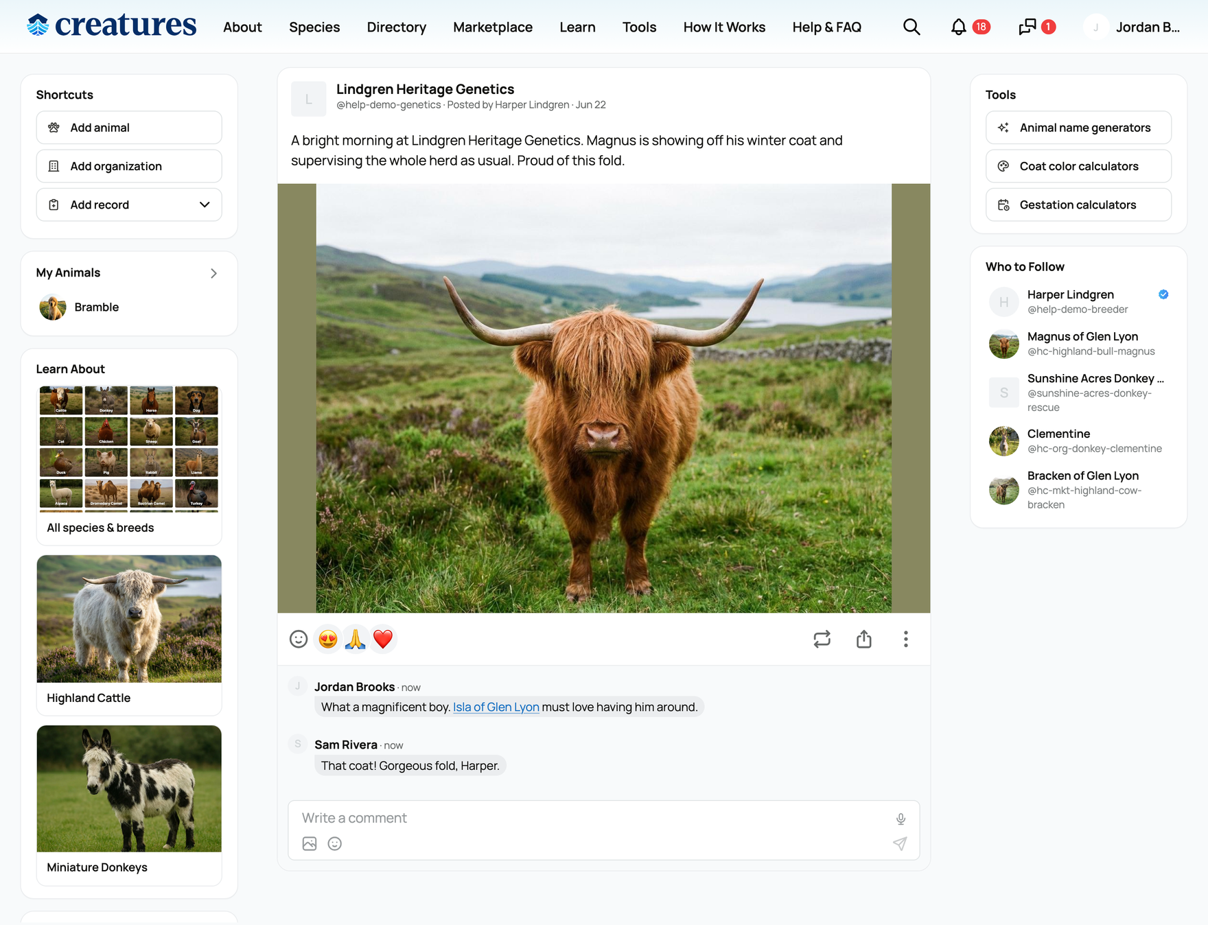 A post with its reactions row and comments