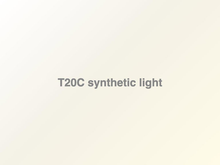 T20C Marketa