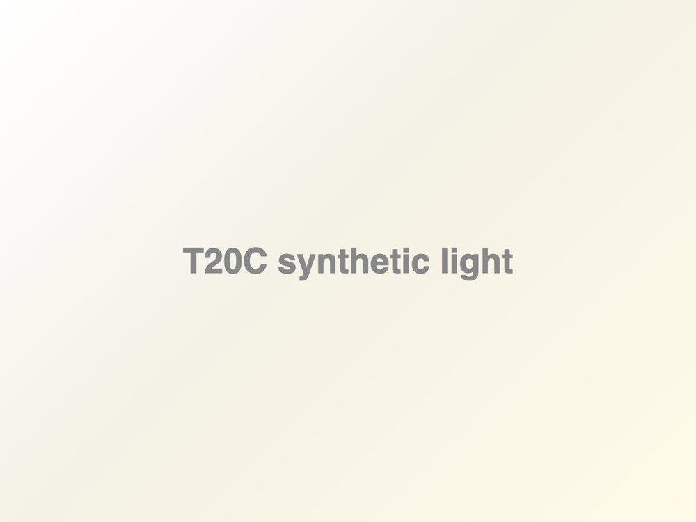 T20C Marketa, photo 1
