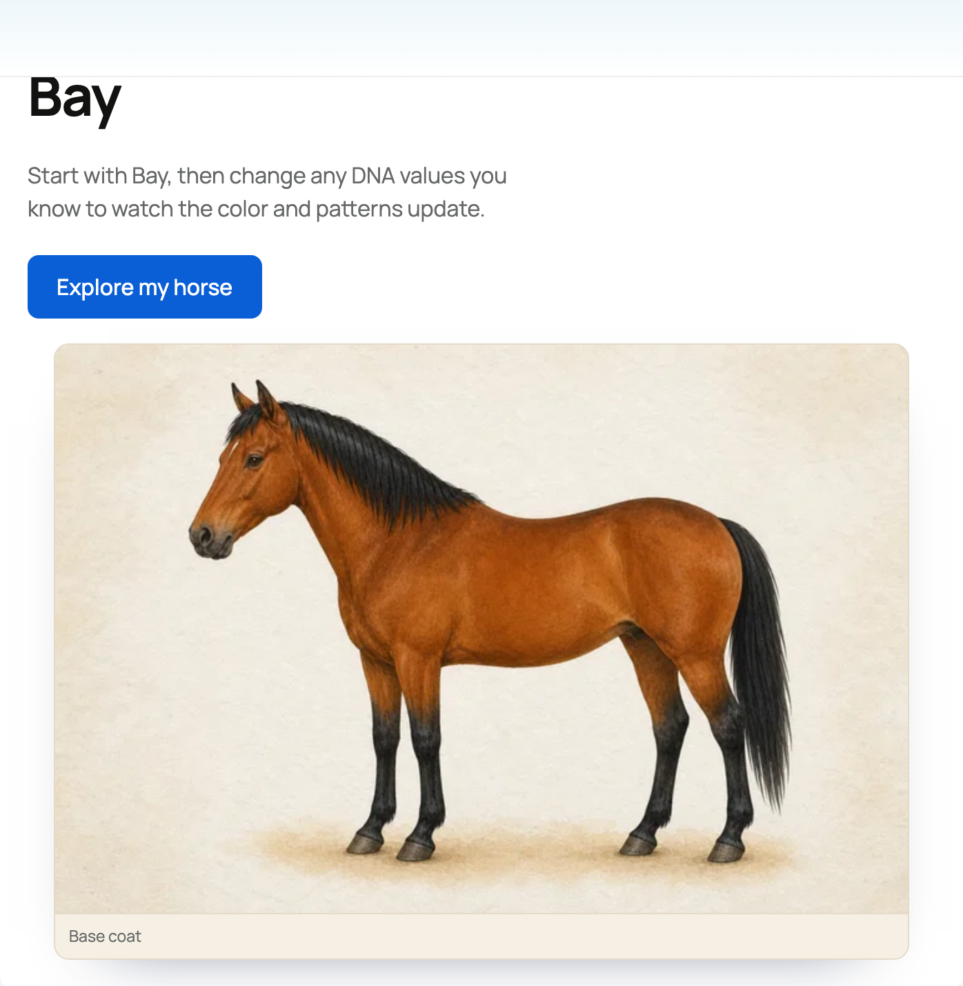 Bay example in the horse visualizer with the Explore my horse action