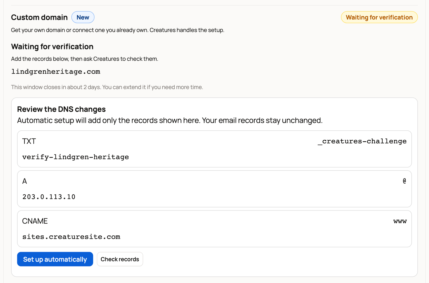 Automatic domain setup waiting for verification, with the DNS changes to review and a Set up automatically button
