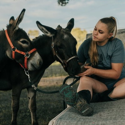 SF Miniature Donkeys profile picture