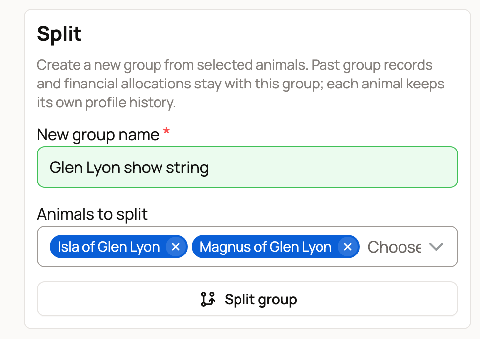 Split card with the new group name Glen Lyon show string and Isla and Magnus chosen under Animals to split
