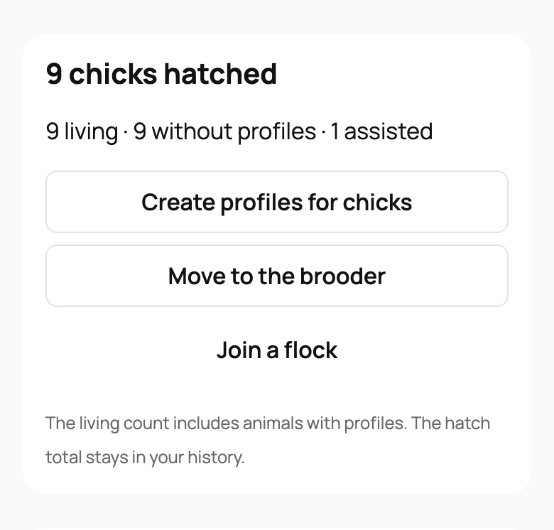 9 chicks hatched, 9 living and 9 without profiles, with Create profiles for chicks and Join a flock