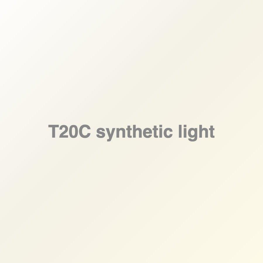 T20C Bee