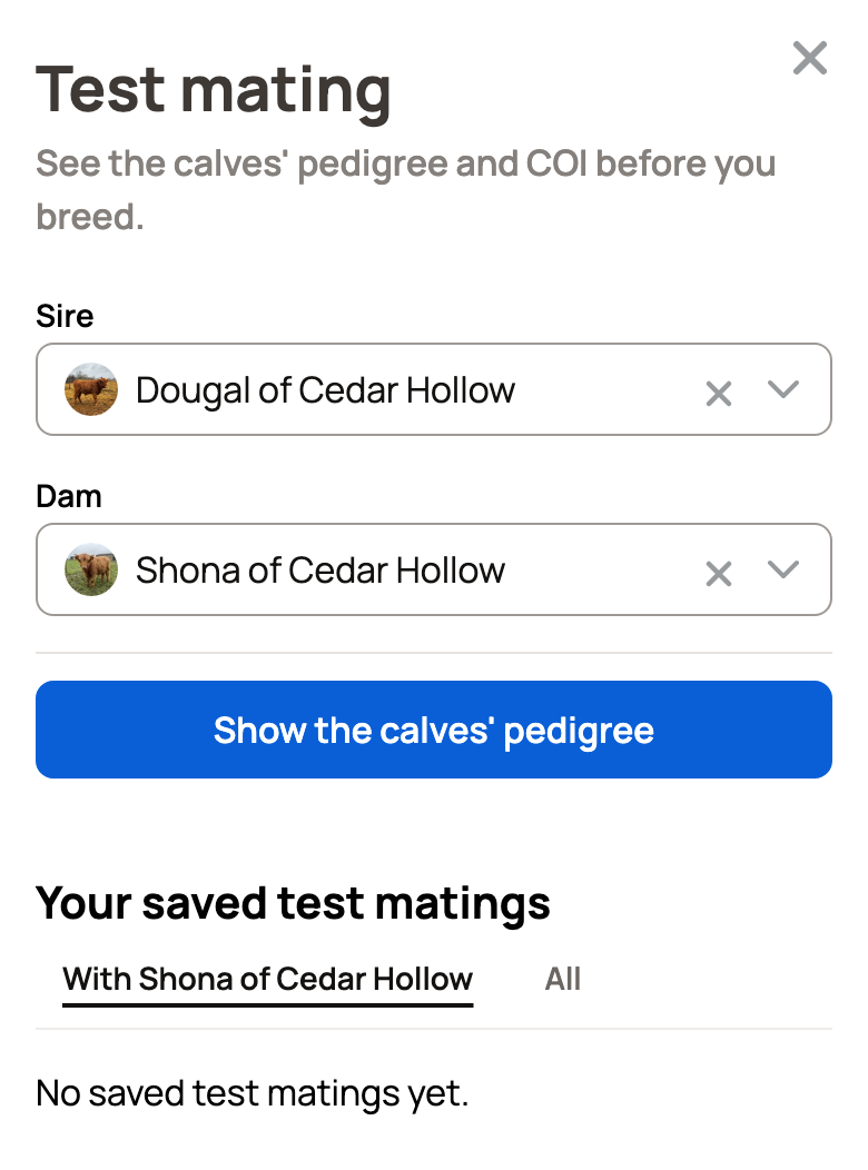 Test mating panel with Dougal of Cedar Hollow as sire, Shona of Cedar Hollow as dam and Show the calves' pedigree