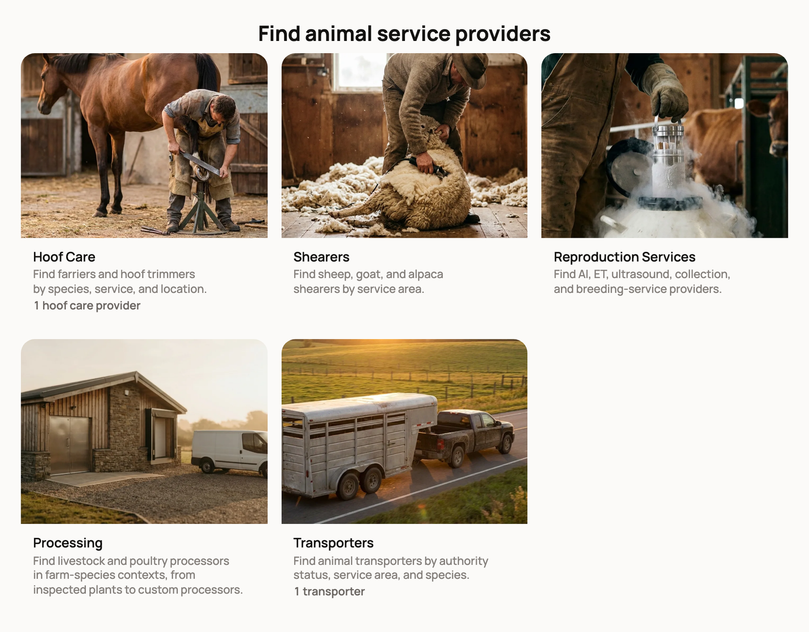 Find animal service providers with Hoof Care, Shearers, Reproduction Services, Processing and Transporters