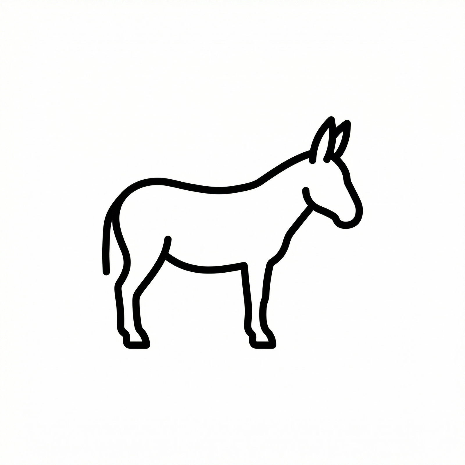 Jasmine, Sunshine Acres